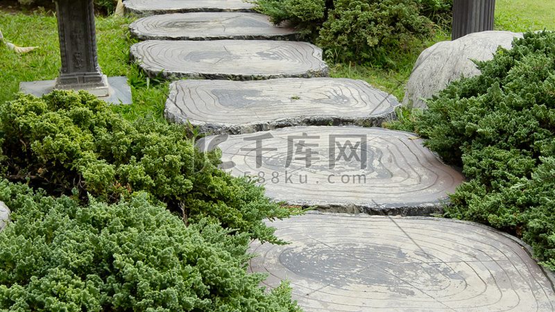 室内垂直绿化植物推荐排名：打造绿色空间的艺术选择