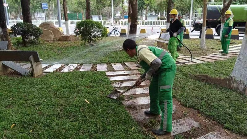 市政道路绿化施工方案报价：关键要素与合理评估