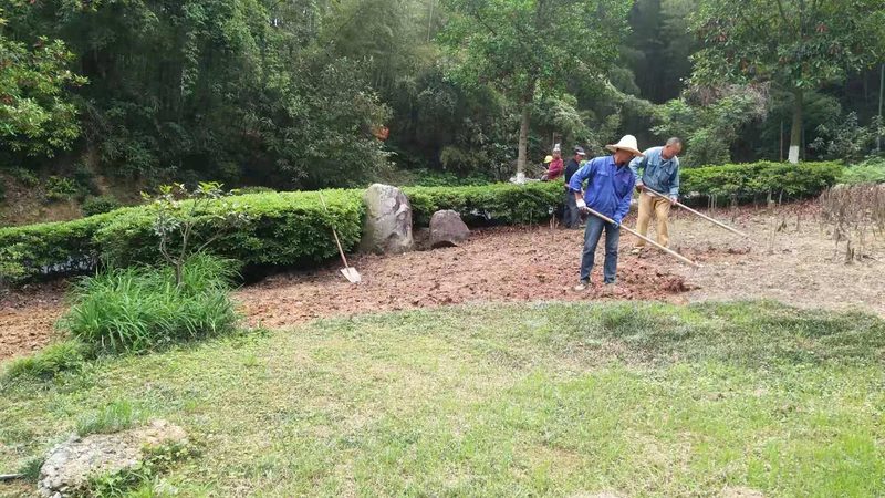市政绿化工程公司报价单：揭秘报价背后的关键因素
