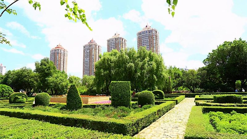 园林工程施工工艺直接关系到工程质量和成活率。以下是一些常见的施工工艺：