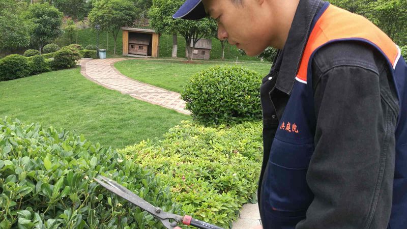 城市绿化资质标准规范：解读最新政策，助力行业发展
