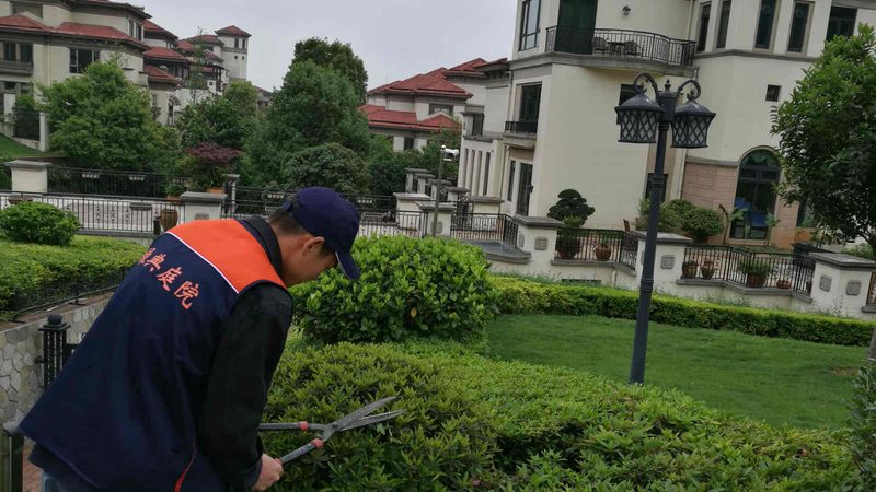 广州室内花卉租摆，如何制定标准？**