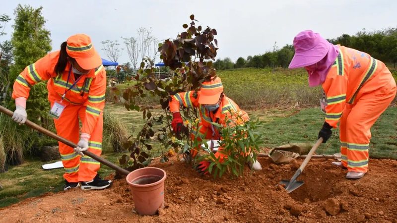 在成都，以下几家公司在屋顶绿化安装领域具有较高的知名度和口碑：