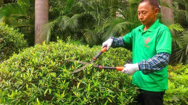 上海市政绿化降尘喷雾设备：如何选择高效环保的解决方案**