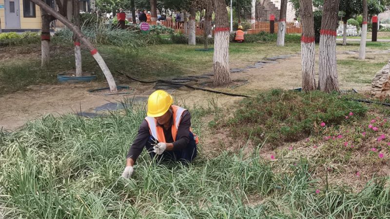 人造草坪与天然草坪：施工价格与区别解析**