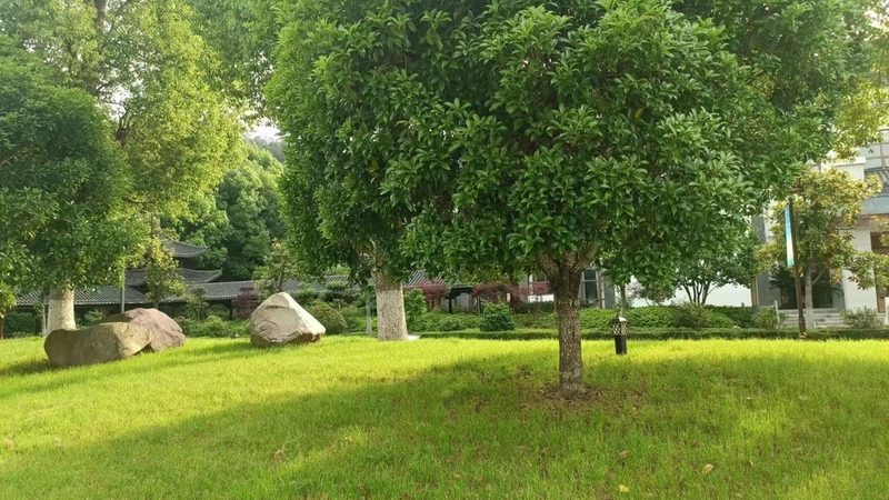 屋顶绿化专用排水板：价格与性能的平衡之道